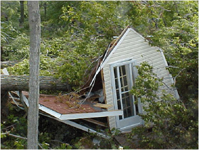 Wind Damage